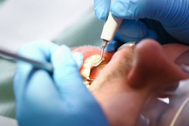 Best Emergency Pediatric Dental Care in Richmond West, FL